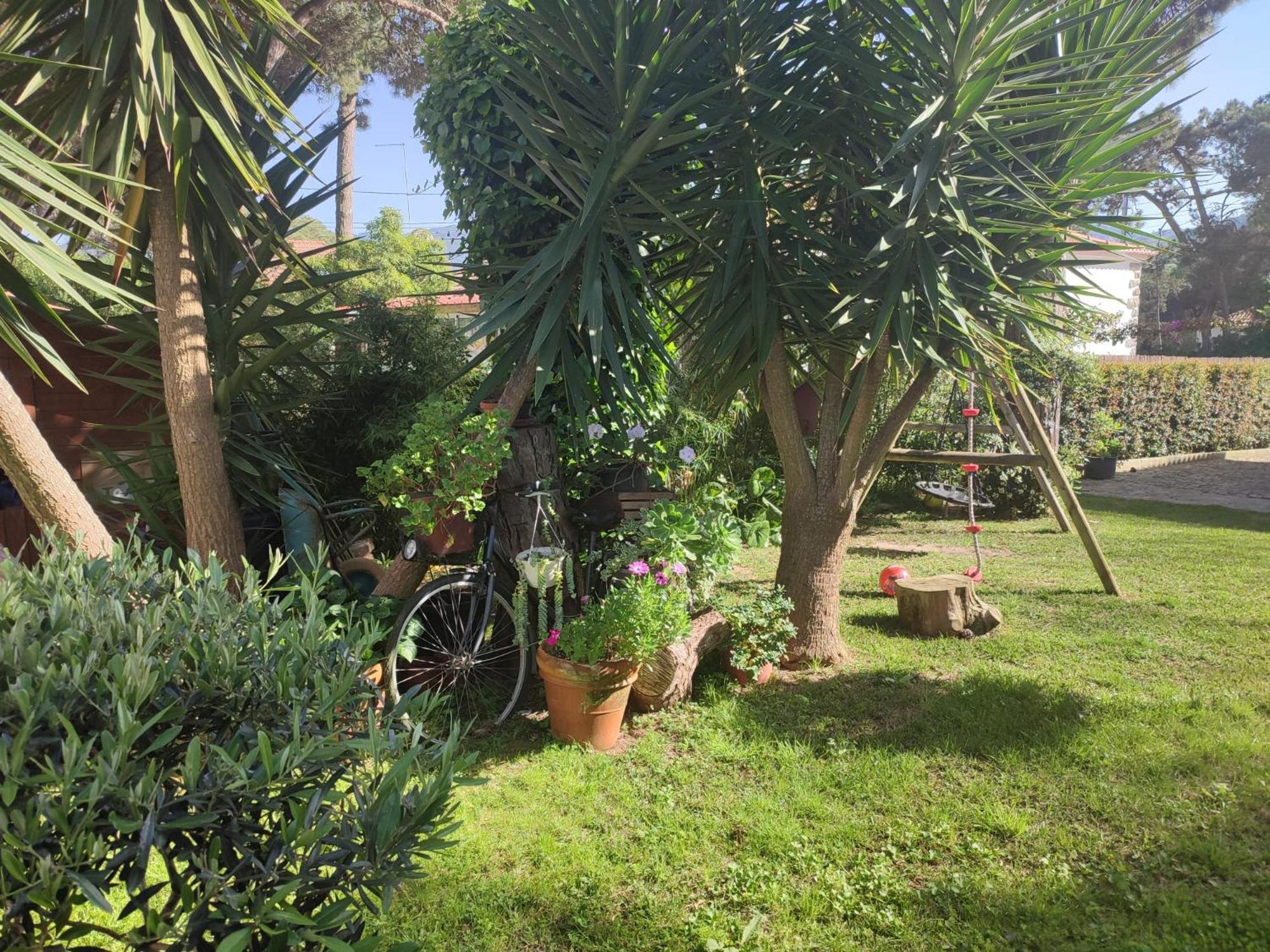 Casinha Do Pinhal Villa Colares Exterior photo